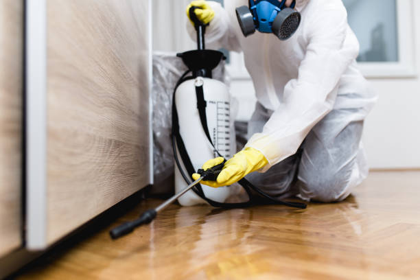 Best Mosquito Control Services  in Savanna, IL