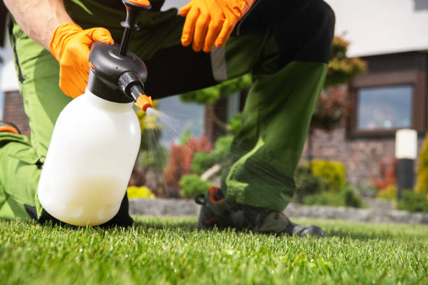 Pest Control Cost in Savanna, IL