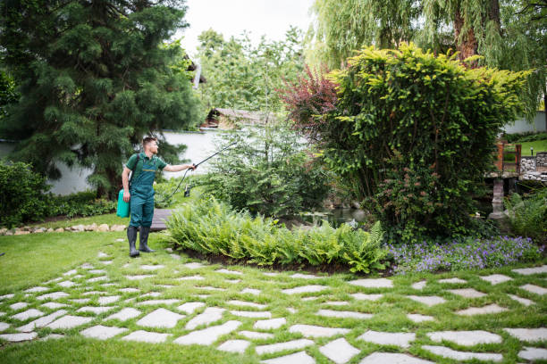Best Local Pest Control Services  in Savanna, IL
