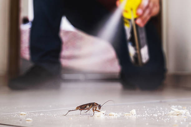 Best Emergency Pest Control  in Savanna, IL