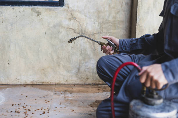 Best Affordable Pest Control Services  in Savanna, IL