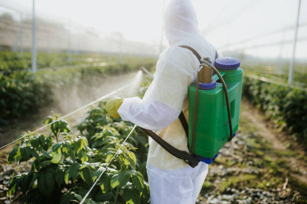 Best Pest Control Near Me  in Savanna, IL